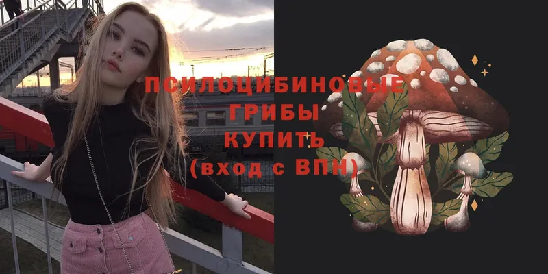 МЕГА ссылки  Гаджиево  Псилоцибиновые грибы Psilocybe 